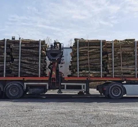 Camion de 50m3 Hêtre en grume