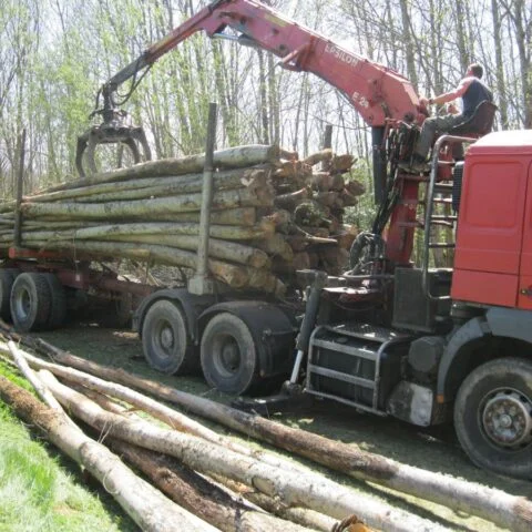 CHÂTAIGNIER EN GRUME, CAMION DE 50 STÈRES