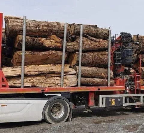 CHÂTAIGNIER EN GRUME, CAMION DE 50M3