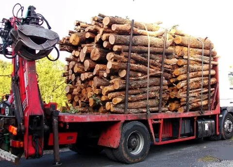 GRUME CAMION DE 50M3 EN HÊTRE